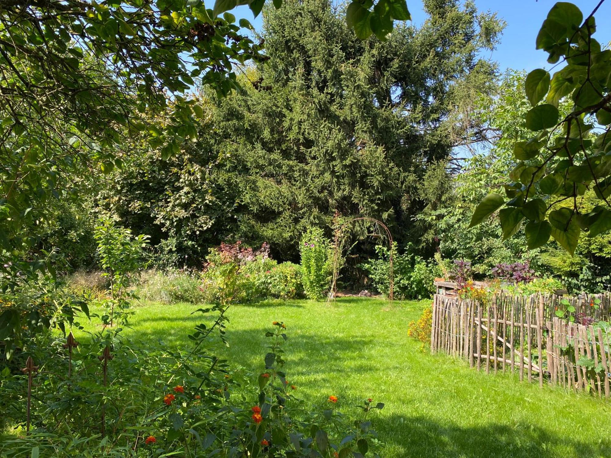 Ferienwohnung Robins Nest Detmold Exterior foto